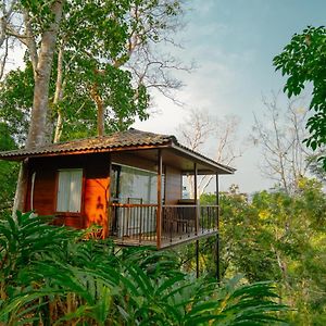 Tree House